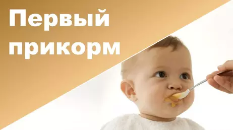 Первым прикормом